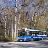 Jelcz M121MB #DJ680
