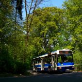 Jelcz M121MB #DJ682
