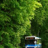 Jelcz M121MB #DJ686