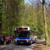 Jelcz M121MB #DJ679