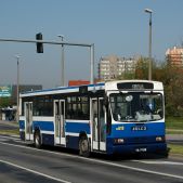 Jelcz M121MB #DJ619
