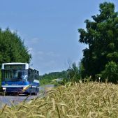 Jelcz M121MB #DJ666