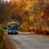 Jelcz M121MB #DJ678