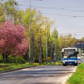 Jelcz M121M #BJ622