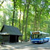 Jelcz M121MB #DJ682