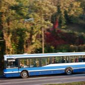 Jelcz M121MB #DJ635