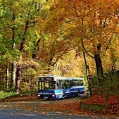 Jelcz M121MB #DJ684