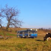 Jelcz M121MB #DJ609