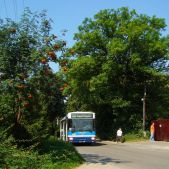 Jelcz M121MB #DJ667