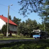 Jelcz M121MB #DJ679