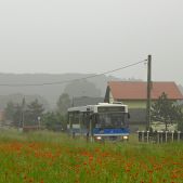 Jelcz M121MB #DJ677