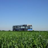 Jelcz M121MB #DJ629