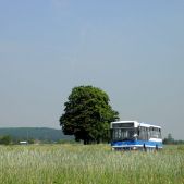 Jelcz M121MB #DJ655
