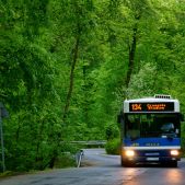 Jelcz M121MB #DJ679