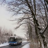 Jelcz M121MB #DJ681
