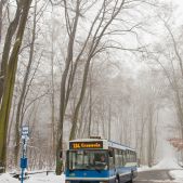 Jelcz M121MB #DJ682
