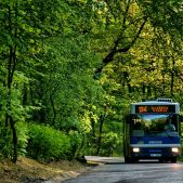 Jelcz M121MB #DJ682