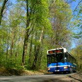 Jelcz M121MB #DJ683