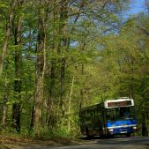 Jelcz M121MB #DJ683