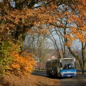 Jelcz M121MB #DJ683