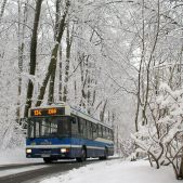 Jelcz M121MB #DJ686