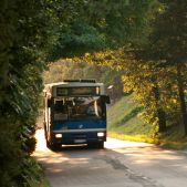 Jelcz M121MB #DJ678