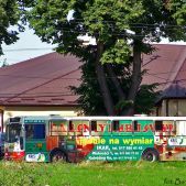 Jelcz 120M CNG #186