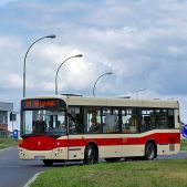 Jelcz M101I #203