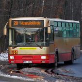 Jelcz 120M CNG #204