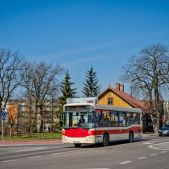 Jelcz M101I #203