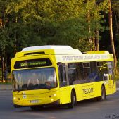 Tedom Kronos 123G #RMI 07206