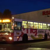 Jelcz 120M CNG #204
