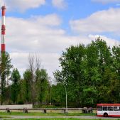 Ikarus 415 #64