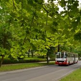 Ikarus 280.70E #161