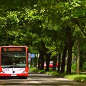 Mercedes O530 #120
