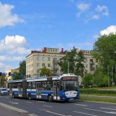Jelcz M181MB #213