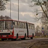 Ikarus 280.26 #345