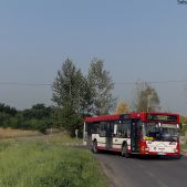 MAN NL 222 #86