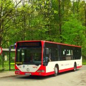 Mercedes O530 #114