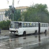 Ikarus 280.26 #320