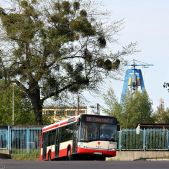 Solaris Urbino 12 #2075