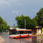 Solaris Urbino 12 #2081