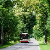 Solaris Urbino 12 #2083