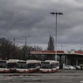 Neoplan N4016 #2038