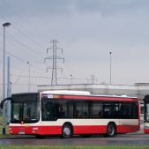 MAN NM243.3 #9831