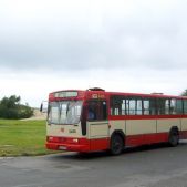 Jelcz M11 #2450