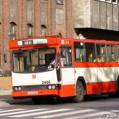 Jelcz M11 #2466
