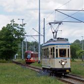 Bergmann #266