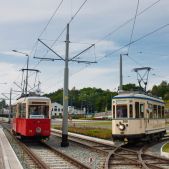 Bergmann #266