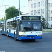 Neoplan N4021 #2262